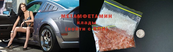 индика Козельск