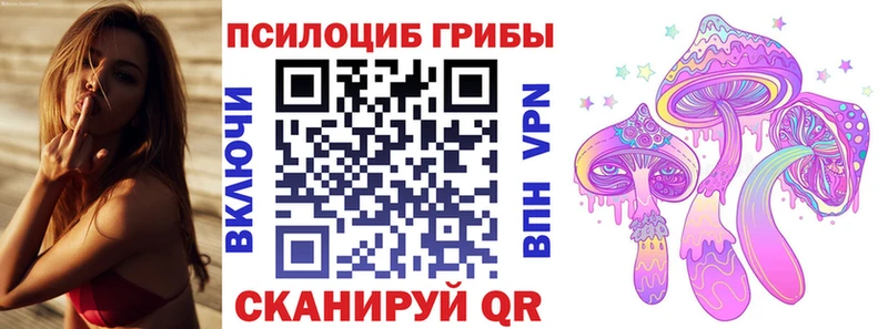 Галлюциногенные грибы прущие грибы  Купить закладки  Буинск 